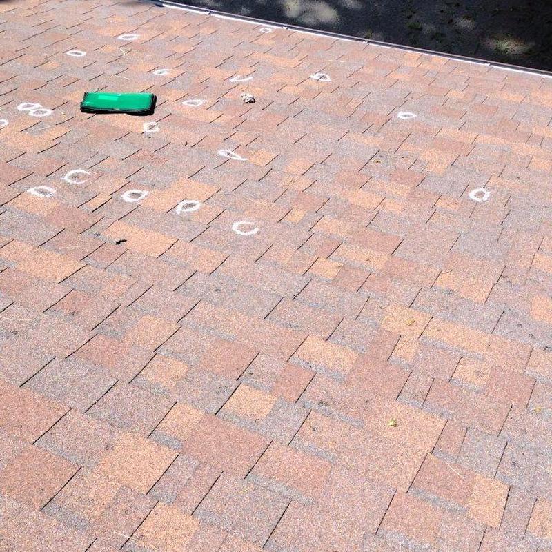 Shingle roof with marked hail damage spots Shingle roof with marked hail damage spots