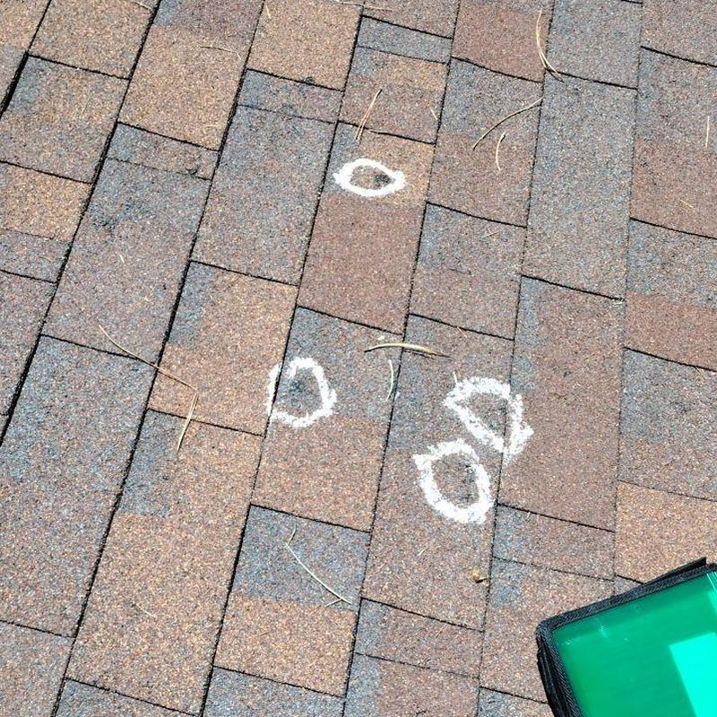 Shingle roof with hail damage markings on shingles Shingle roof with hail damage markings on shingles