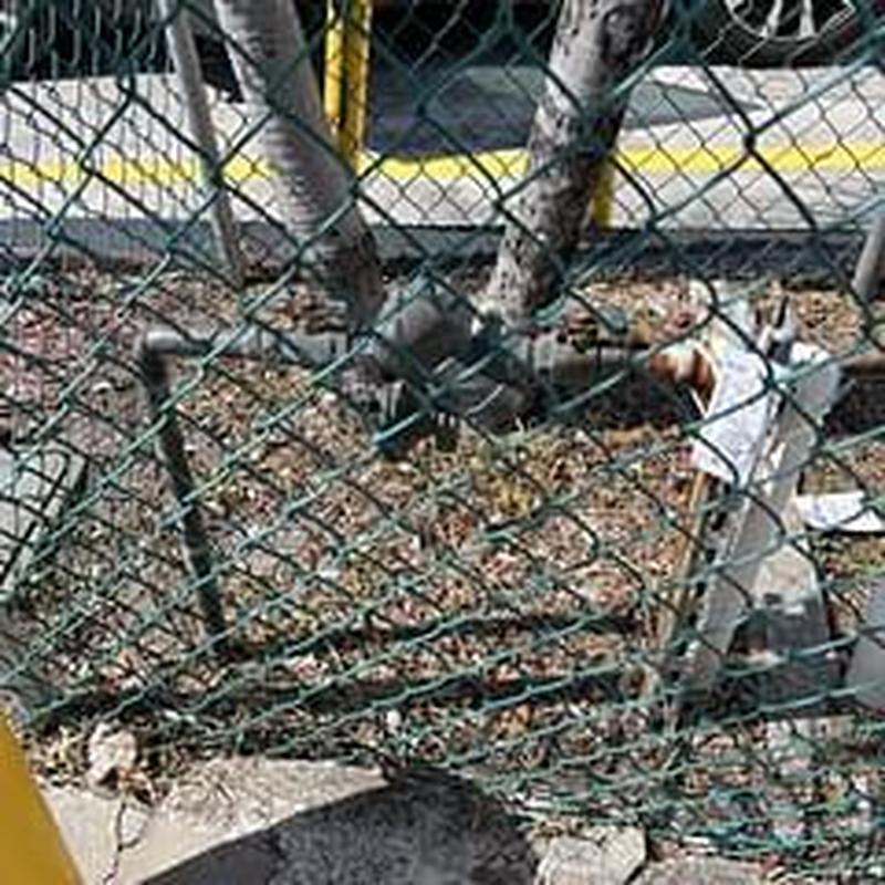 Backflow prevention device behind chain-link fence