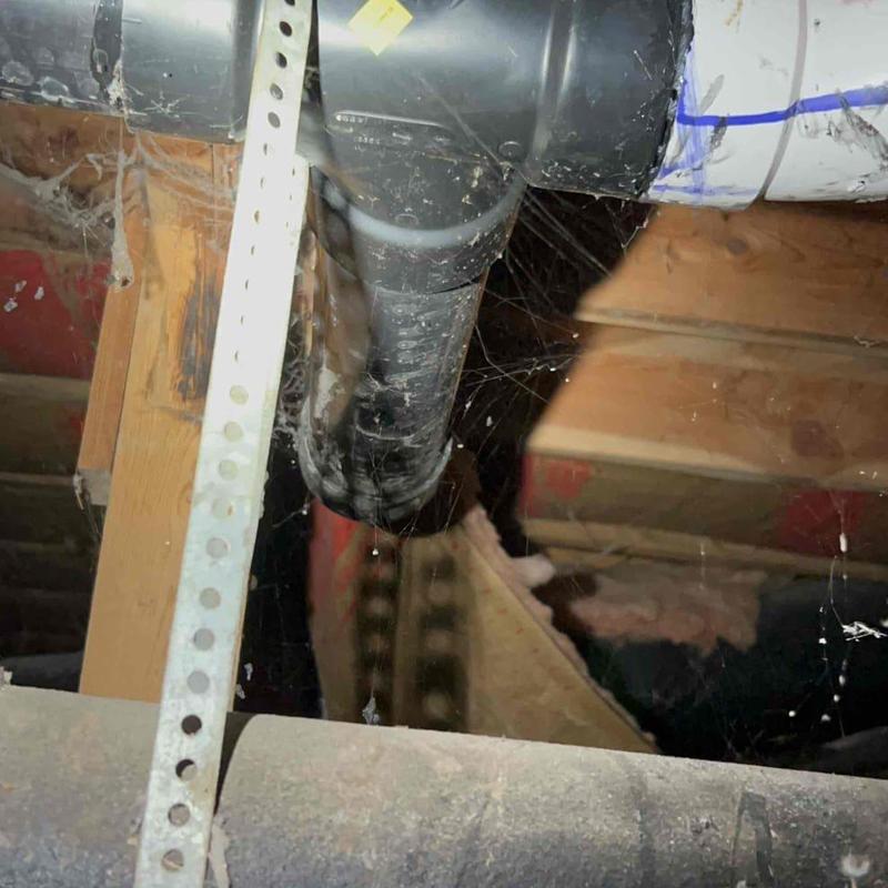 Plastic mainline pipe in crawl space with cobwebs