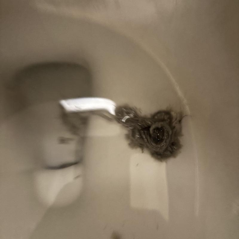Tub shower drain clogged with hair buildup Tub shower drain clogged with hair buildup