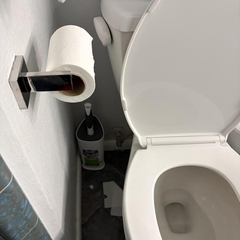 Toilet bowl and flush valve with open lid and toilet brush nearby