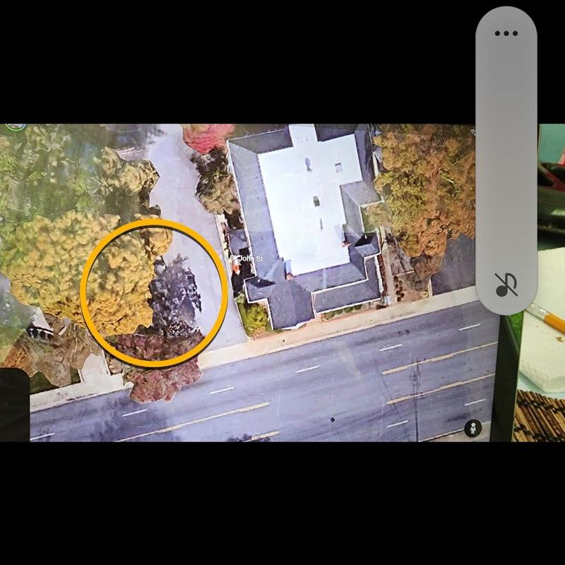 Roof aerial with driveway and tree inspection zone Roof aerial with driveway and tree inspection zone
