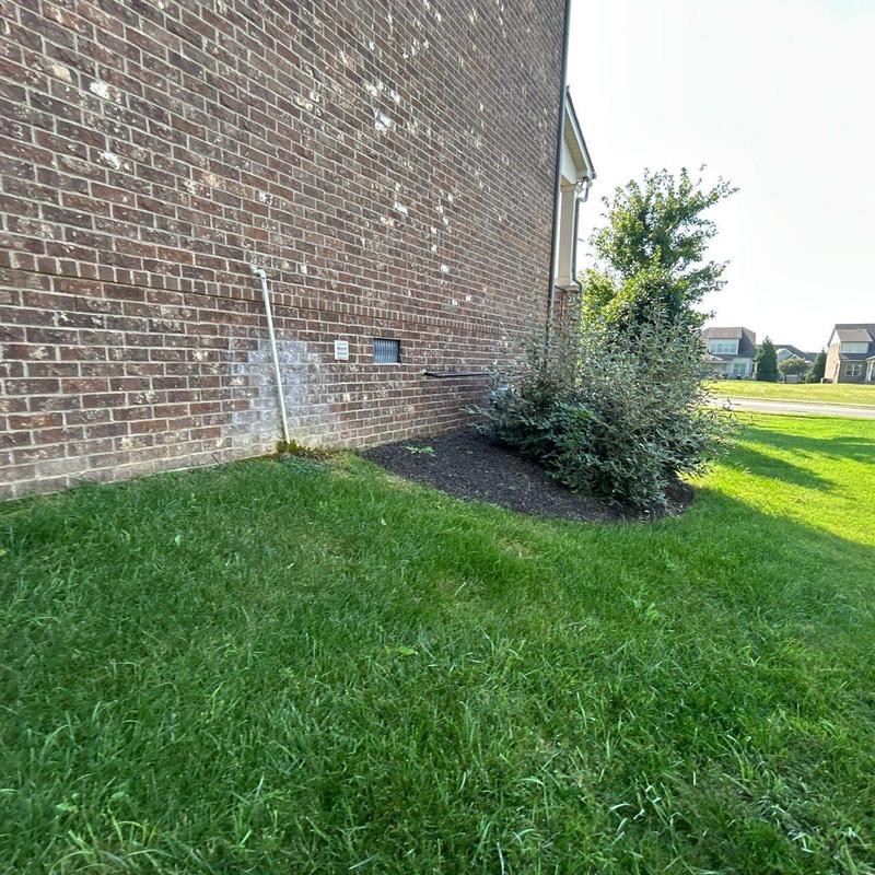 Brick siding with efflorescence stains on exterior wall