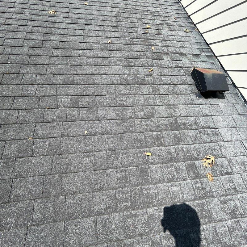 Hail-damaged asphalt shingles on residential roof