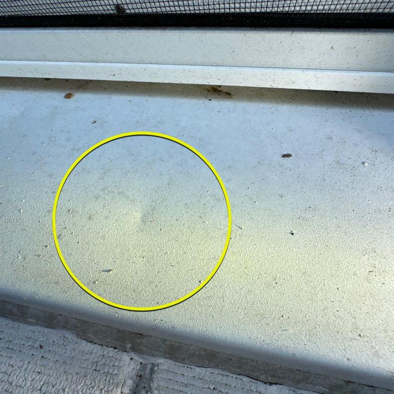Window sill with surface damage highlighted in yellow circle