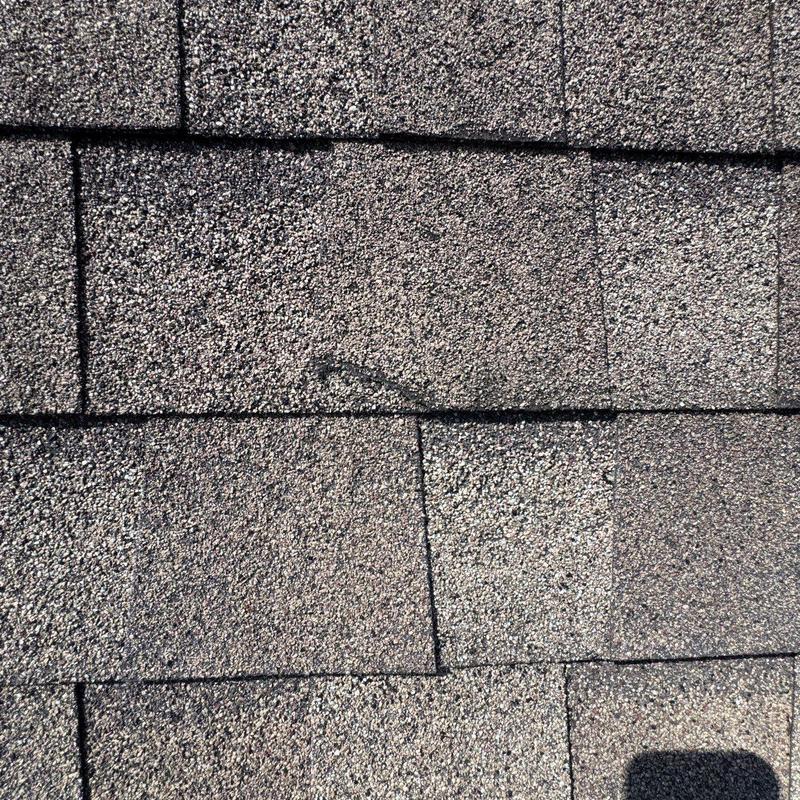 Asphalt shingles with hail damage and granule loss