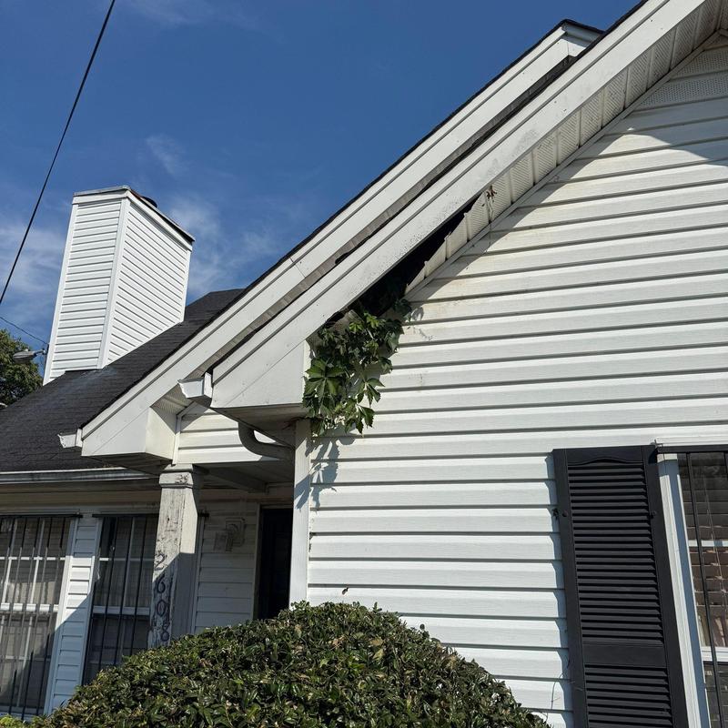 House soffit with damaged siding and plant growth