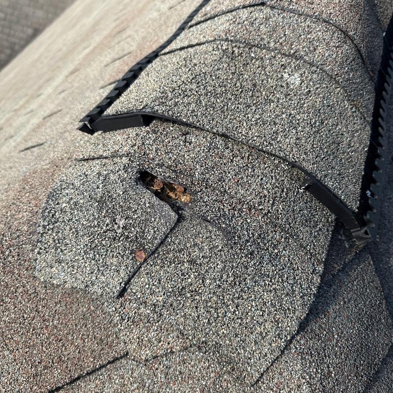 Roof shingles with hail damage and nail exposure