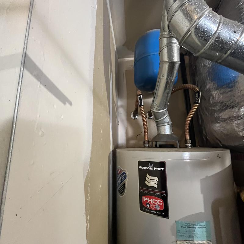 Gas water heater with vent and expansion tank