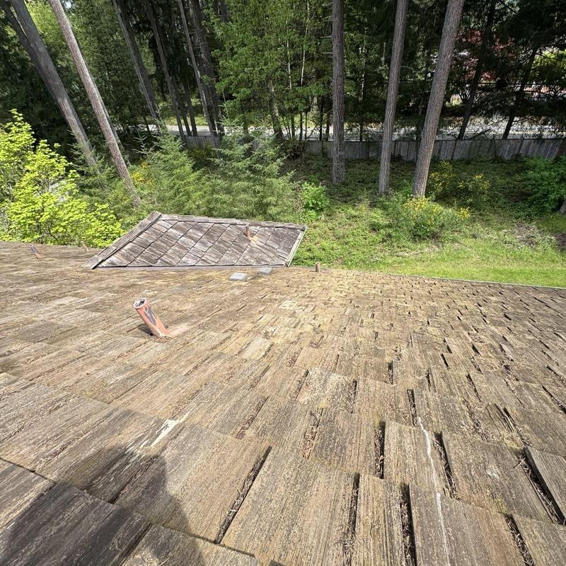 Wood shingle roof with visible wear and debris buildup