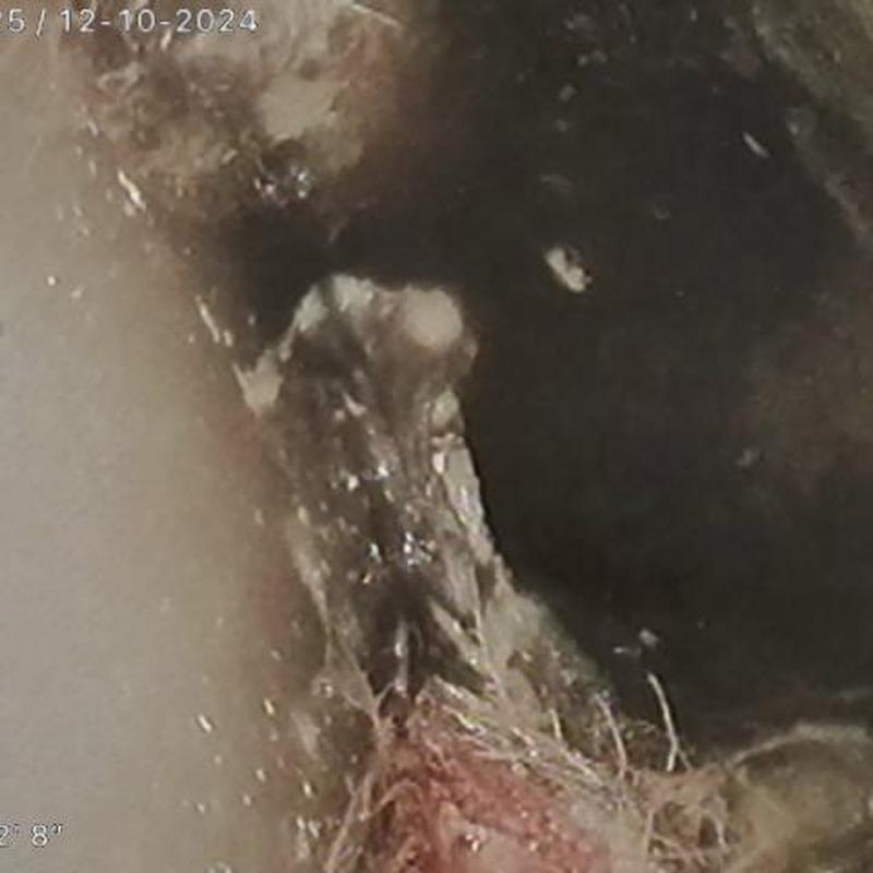 Orangeburg sewer pipe damage from video inspection