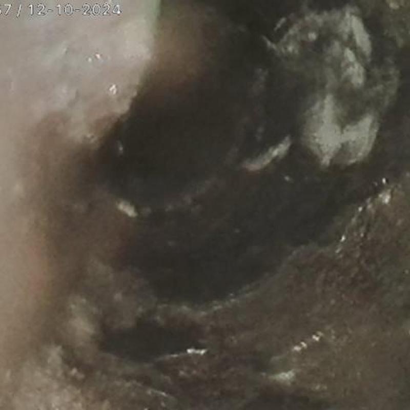Sewer main video inspection showing Orangeburg pipe damage