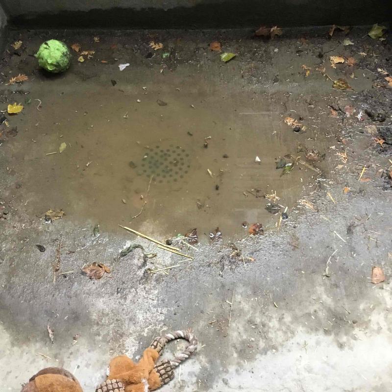 Outside area drain clogged with mud and debris