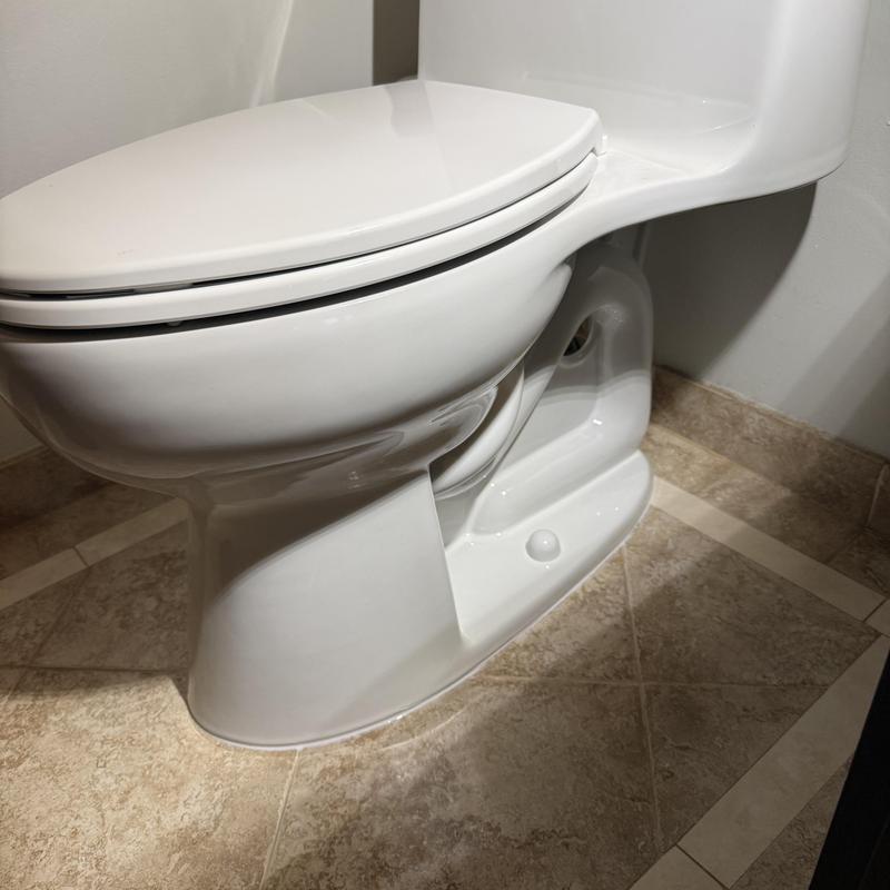 One-piece toilet with new wax ring and caulked base One-piece toilet with new wax ring and caulked base