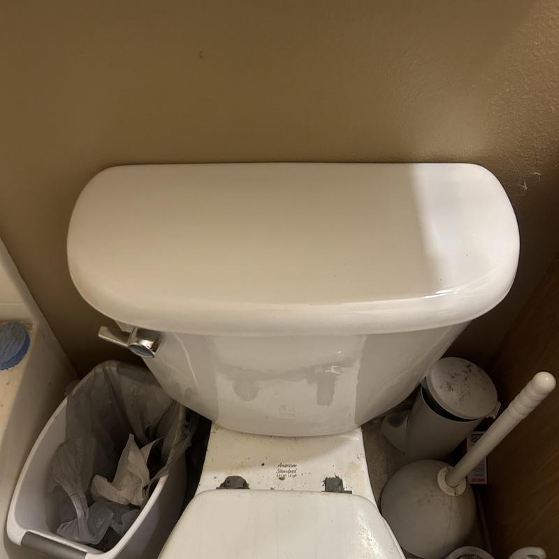 Toilet tank handle replacement with new chrome handle