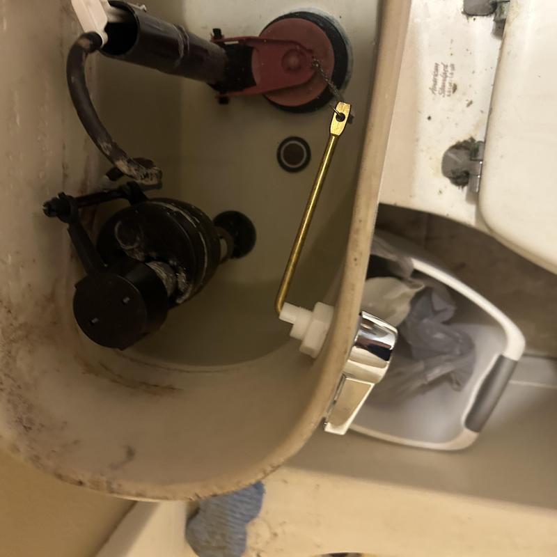 Toilet tank handle and internal flush valve components replacement