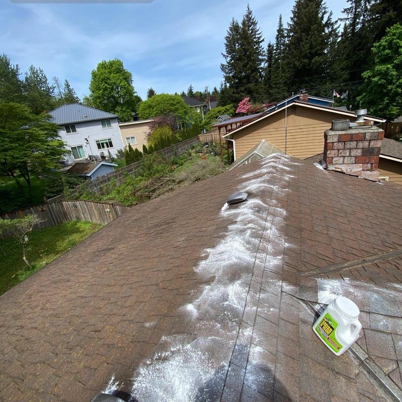 Roof moss treatment application on asphalt shingles