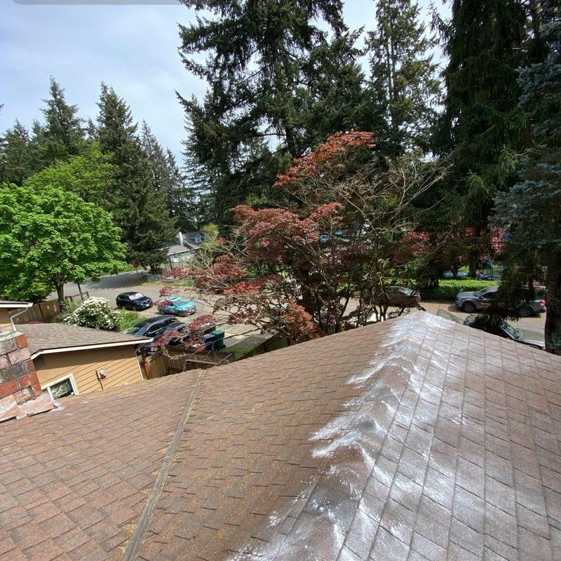 Roof shingles with moss treatment application