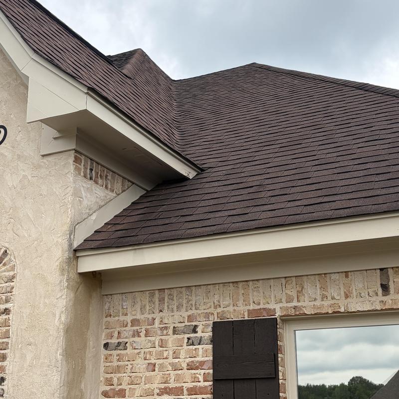 Roof shingles and gutter edge near leak area