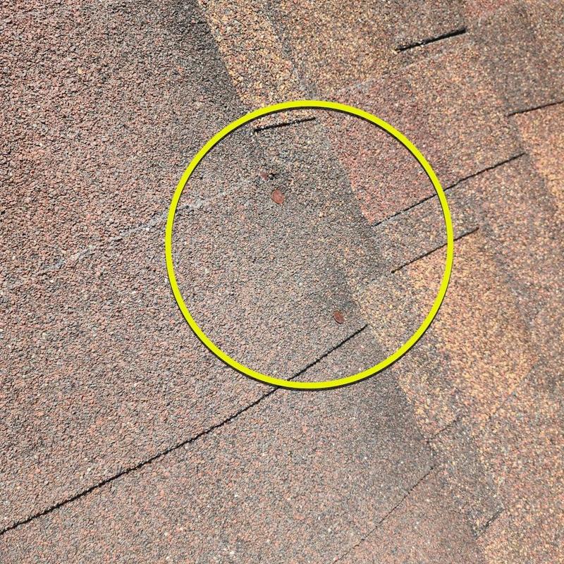 Roof shingles with storm damage highlighted in circle Roof shingles with storm damage highlighted in circle