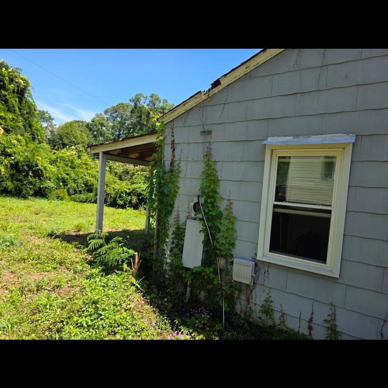 Roof edge and siding with overgrown vines on house exterior Roof edge and siding with overgrown vines on house exterior