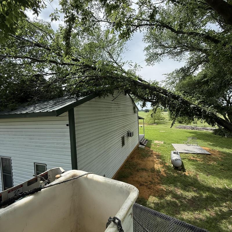 Roof with fallen tree limb removal using bucket truck Roof with fallen tree limb removal using bucket truck