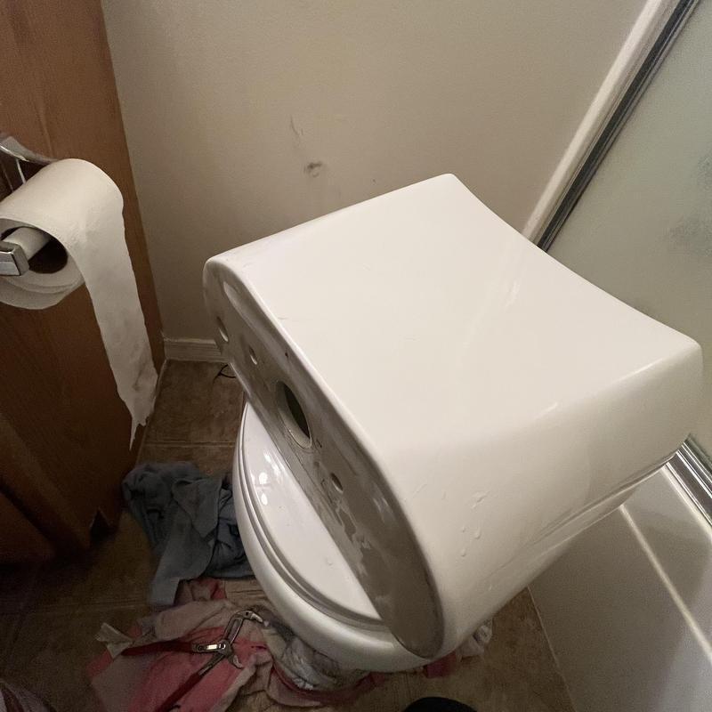 Toilet tank off for internal repair in small bathroom
