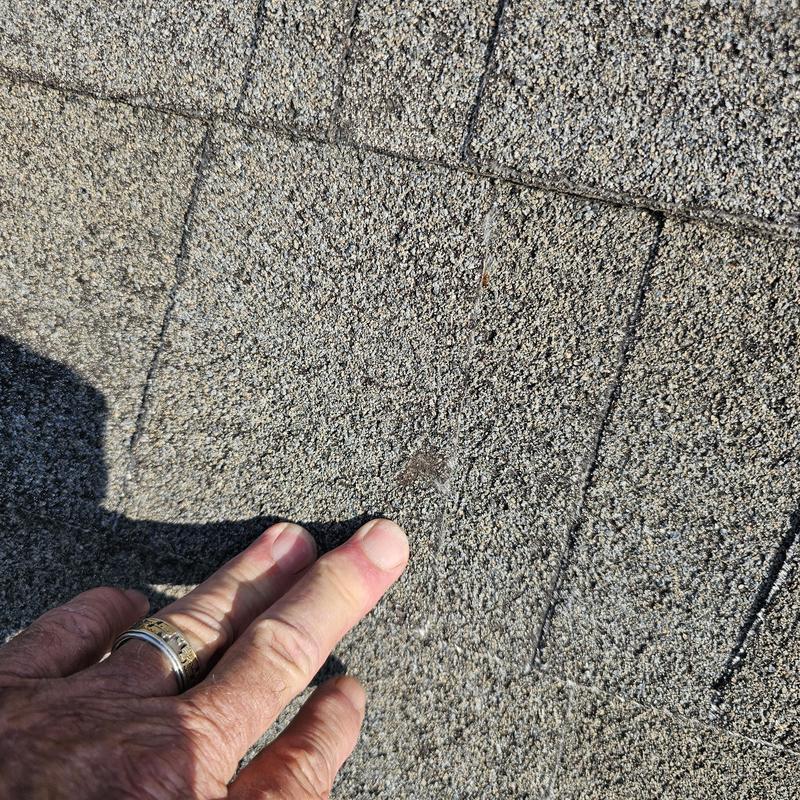 Asphalt roof shingle with hail damage and hand for scale