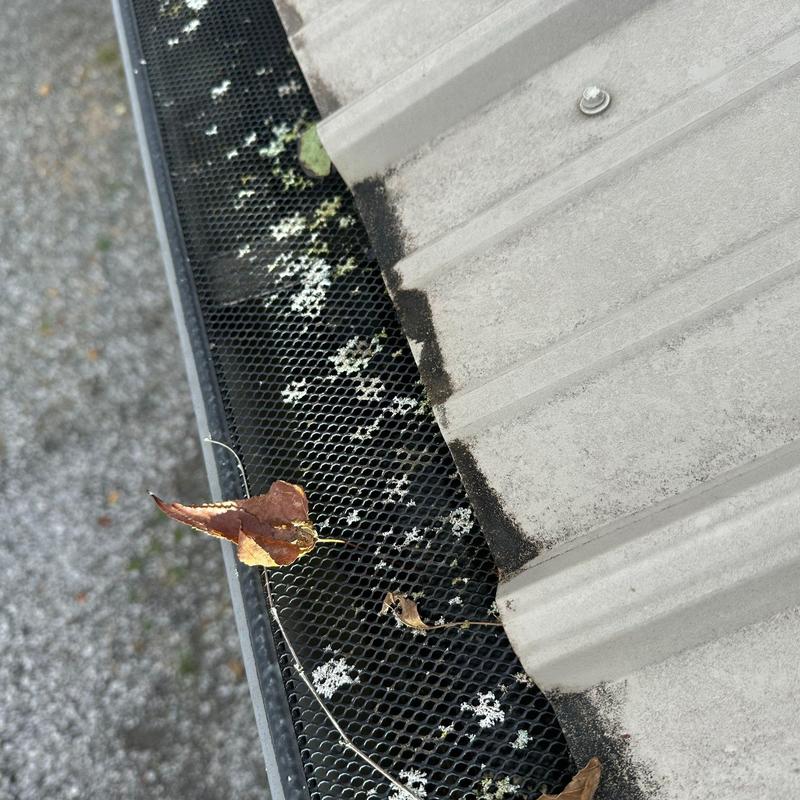 Metal roof panel edge and mesh gutter guard with debris