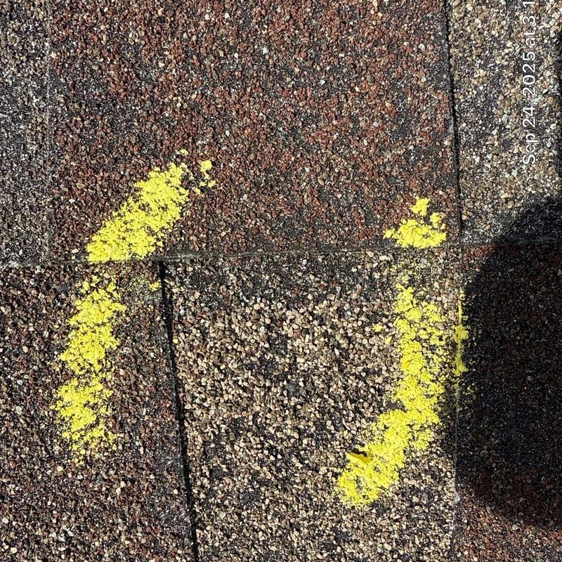 Asphalt roof shingles with hail damage marked in yellow