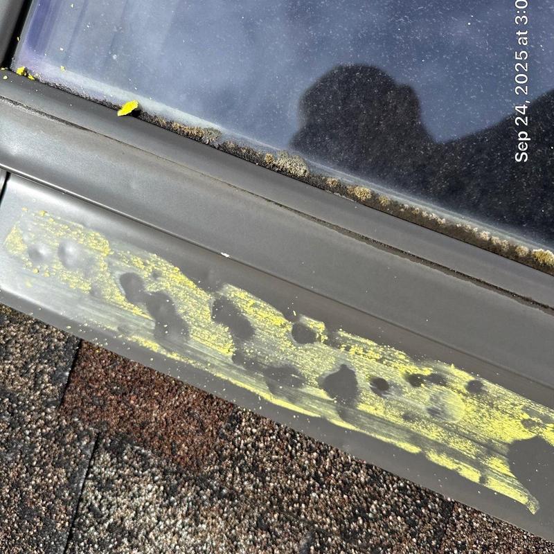 Skylight flashing with hail damage and granule loss