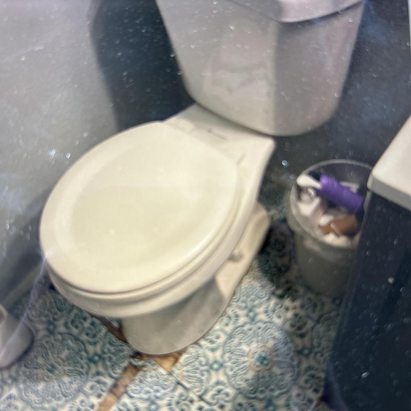 Toilet reset after mainline clog clearing in bathroom