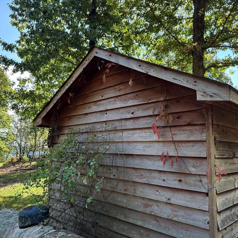 Wooden siding exterior with climbing vines and foliage