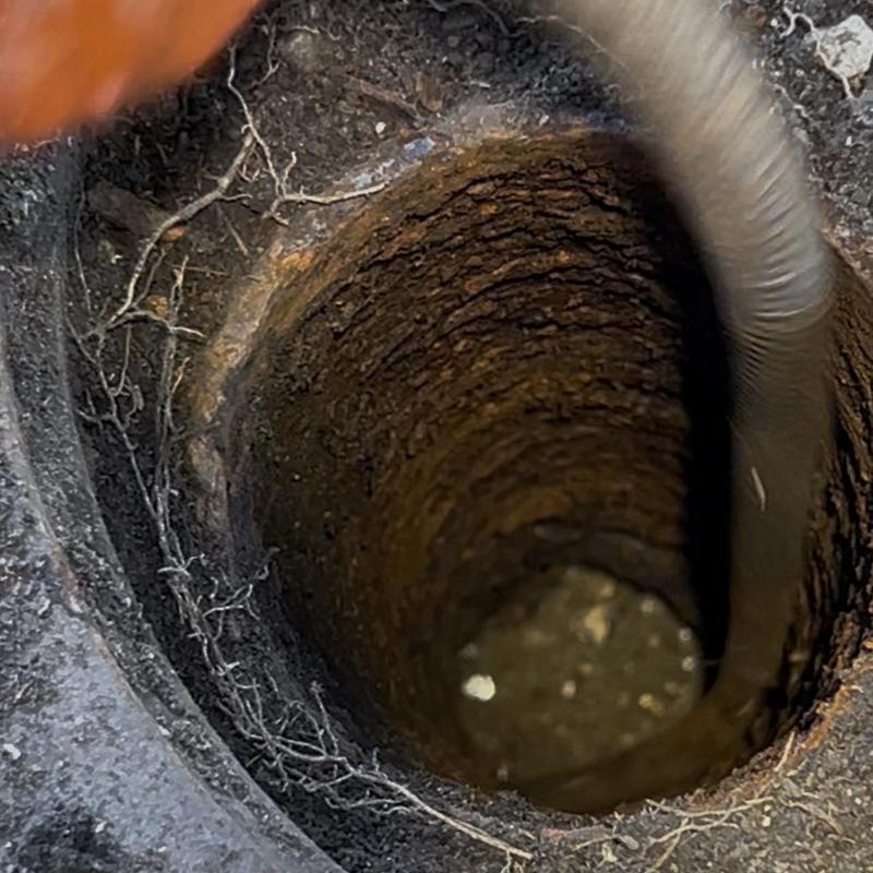 Sewer main drain clearing with plumbing snake
