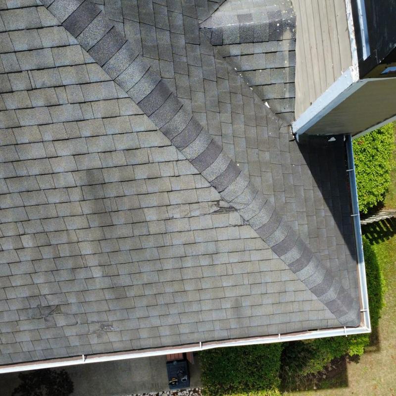 Asphalt roof shingles inspection with visible damage