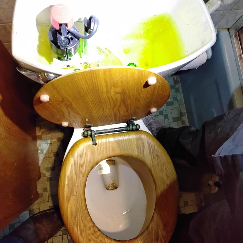 Toilet tank flush valve and gasket with dye test