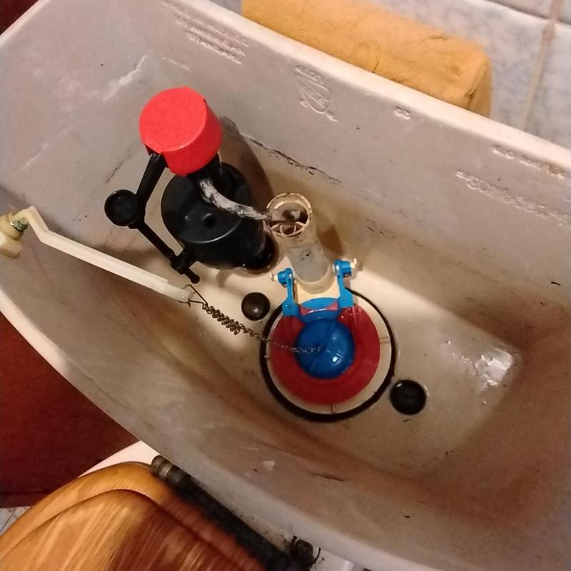 Toilet tank flush valve and fill valve assembly