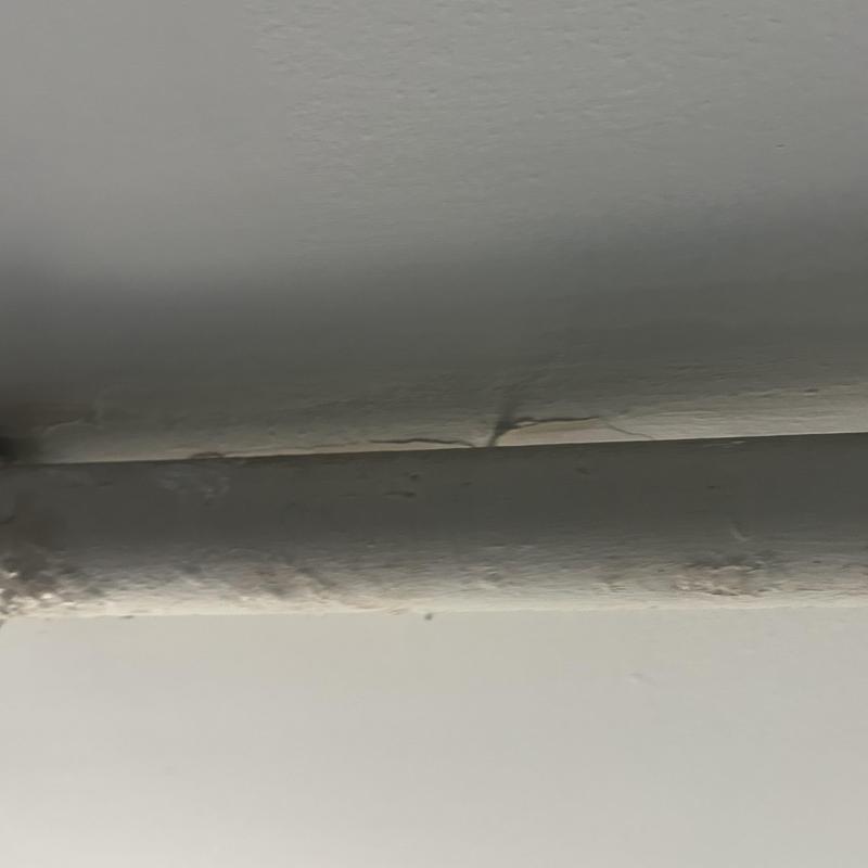 Secondary kitchen water line with old paint and damage Secondary kitchen water line with old paint and damage