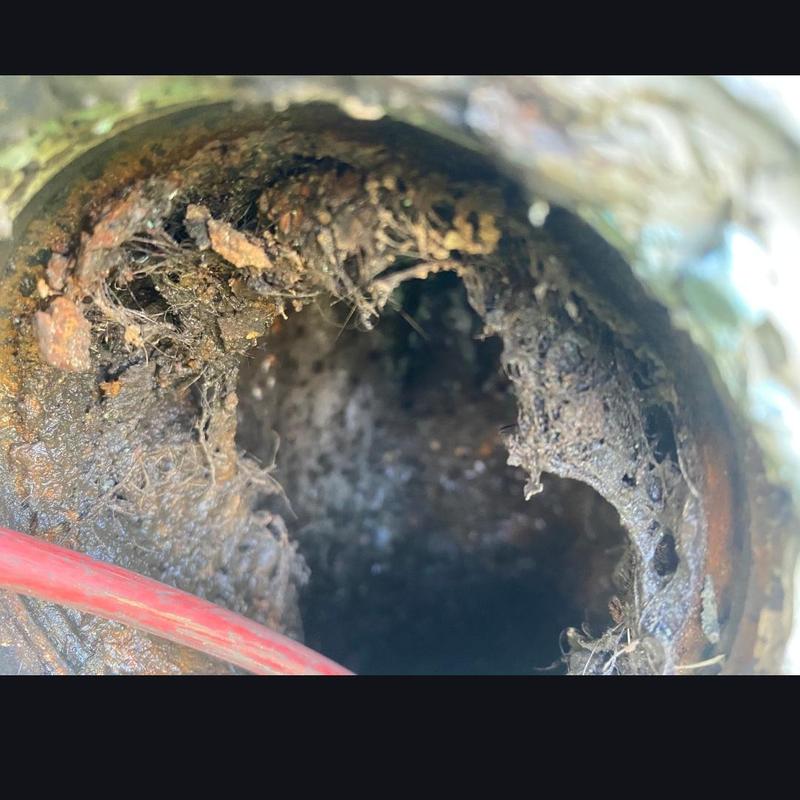 Main sewer line blockage with roots inside pipe