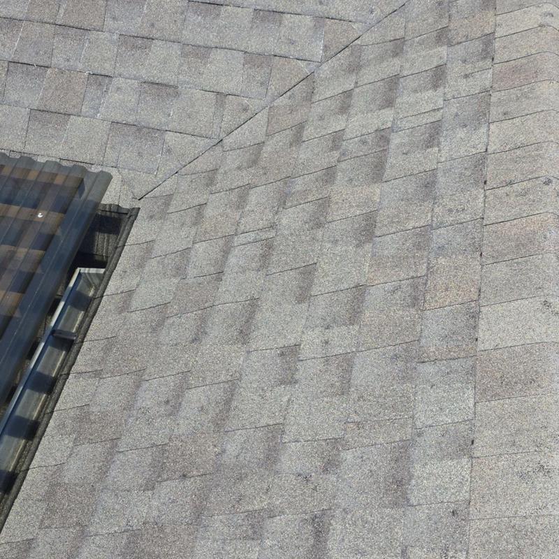 Asphalt shingle roof with hail damage and granule loss