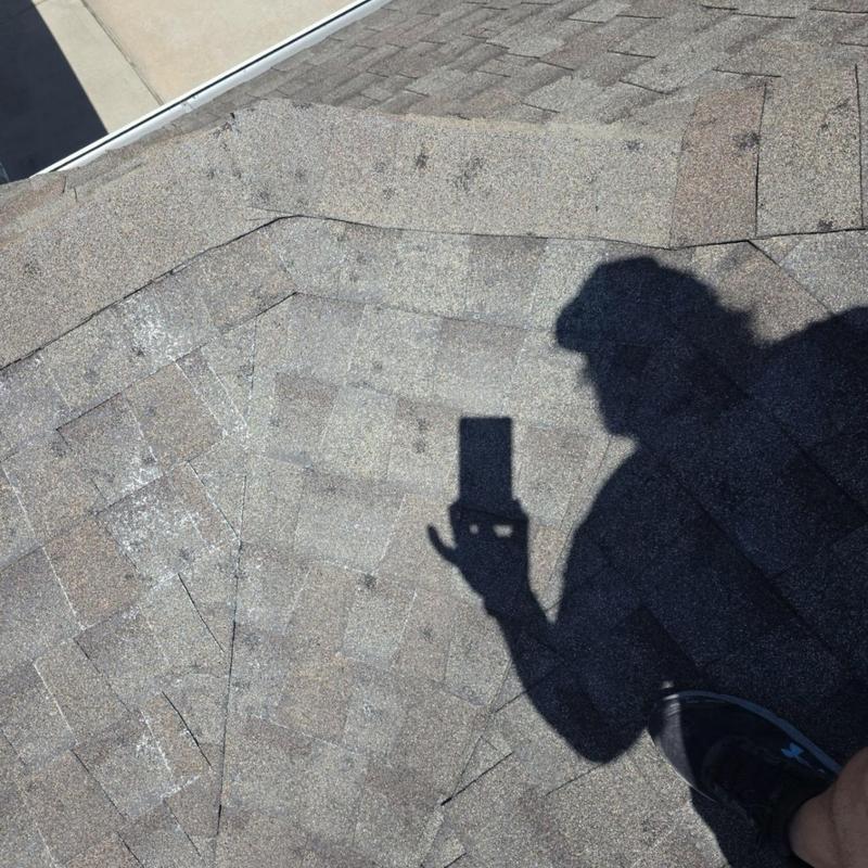 Asphalt shingle roof with hail damage and granule loss