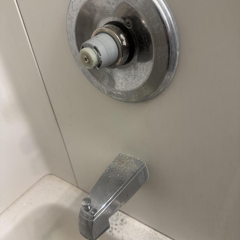 Shower valve cartridge with calcium buildup and leak Shower valve cartridge with calcium buildup and leak