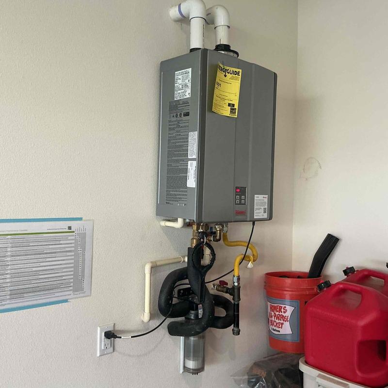 Tankless water heater with canister flush installation