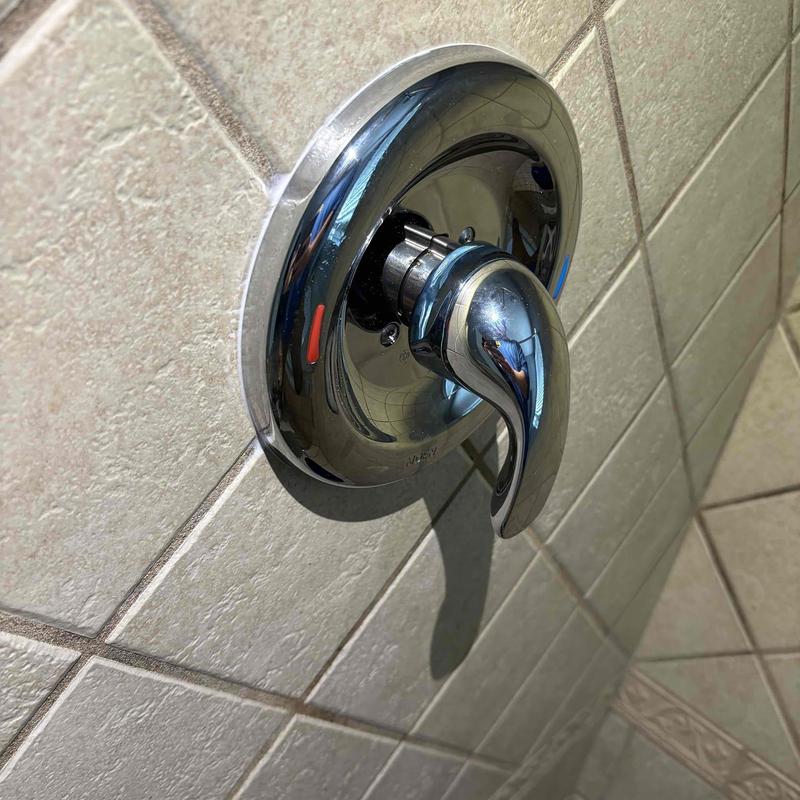 Moen Posi Temp valve on shower handle assembly