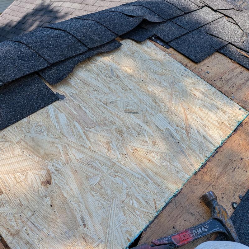 Plywood roof decking replacement with exposed shingles