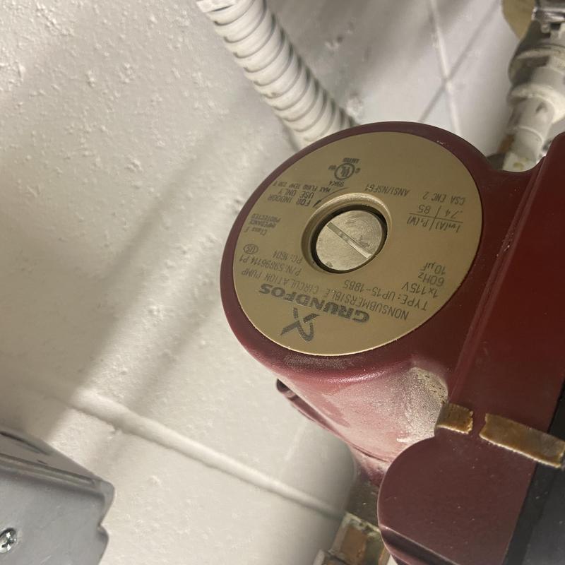 Circulator pump for commercial water heater system