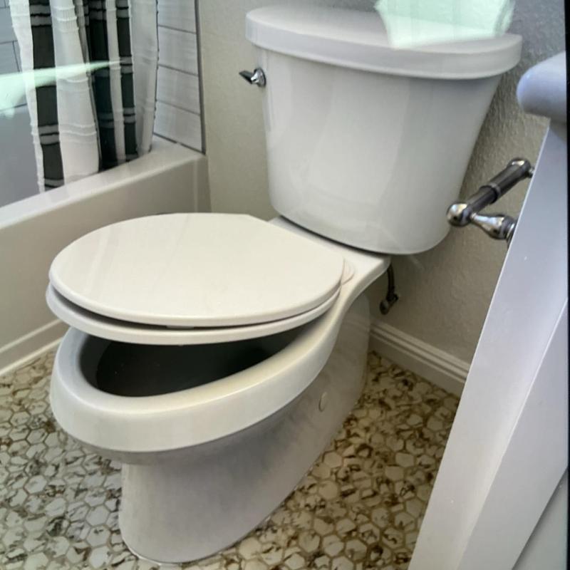 Toilet installation with new wax ring and supply line