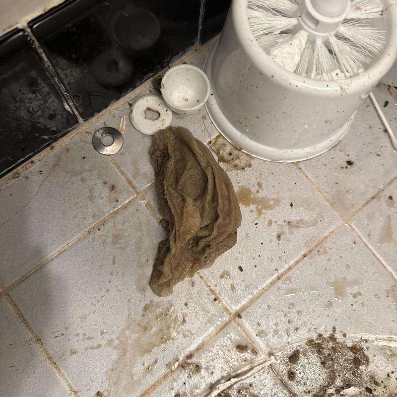 Main sewer line blockage debris on bathroom floor Main sewer line blockage debris on bathroom floor