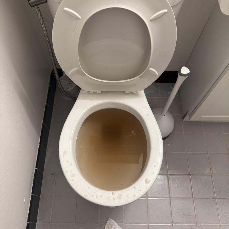 Toilet with backed-up sewage water inside bowl Toilet with backed-up sewage water inside bowl